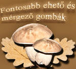 Gombahatározó