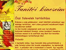 Őszi falevelek Őszi falevelek tartósítása