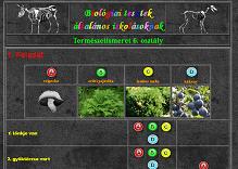 Hatodikos környezetismeret