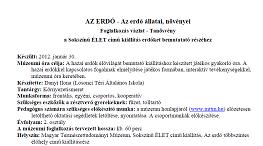 Erdő - foglalkozás feladatok Az erdő - foglalkozás