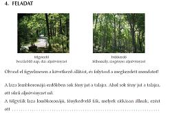 természetismeret környezetismeret