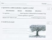 Erdő felmérő feladatlap erdő